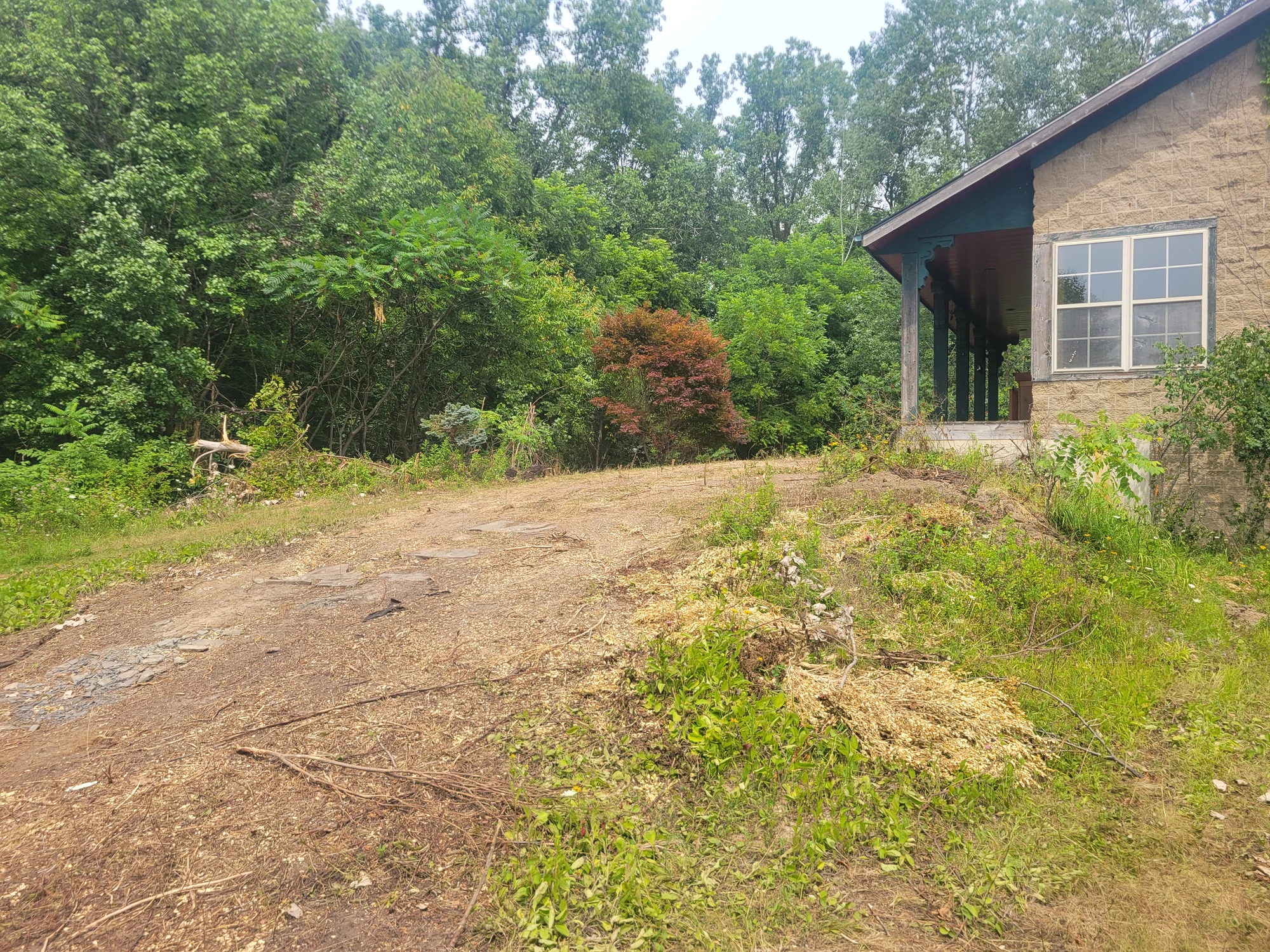 Exterior of Dimondale property requiring major cleanout and property work