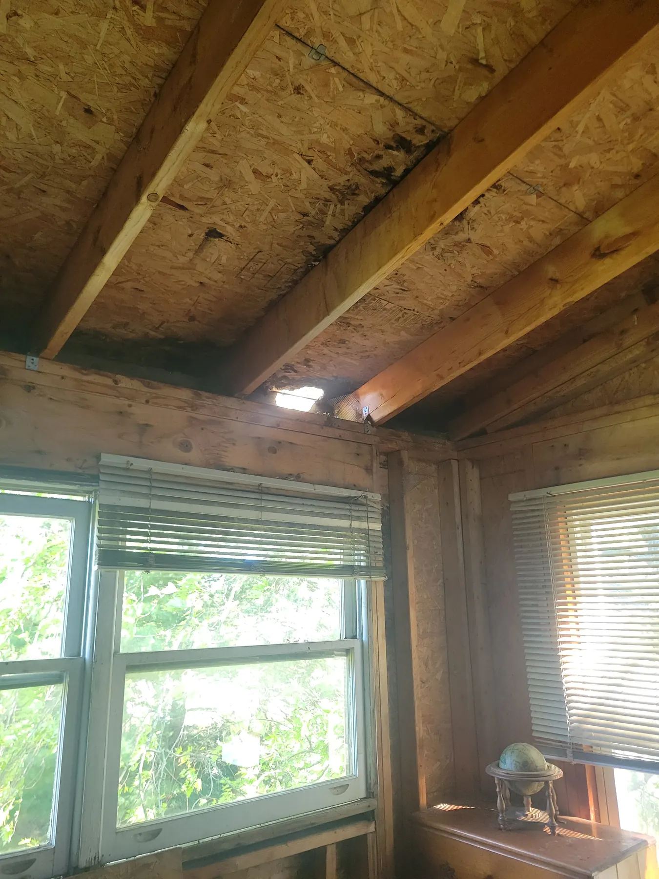 Exposed wall and ceiling framing at 2077 Elliott Street