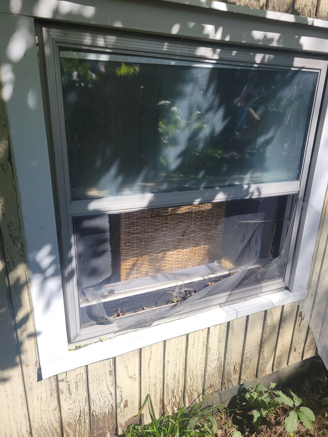 Damaged window screen and open exterior penetration at 2077 Elliott Street
