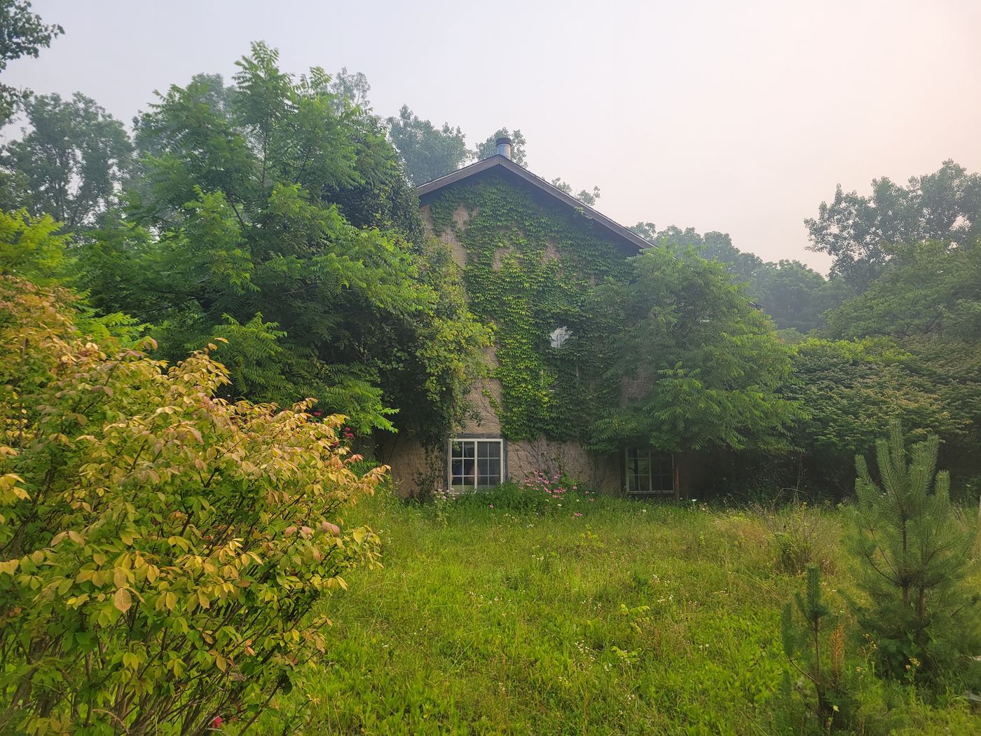 Overgrown Greater Lansing house sold to help pay for memory care