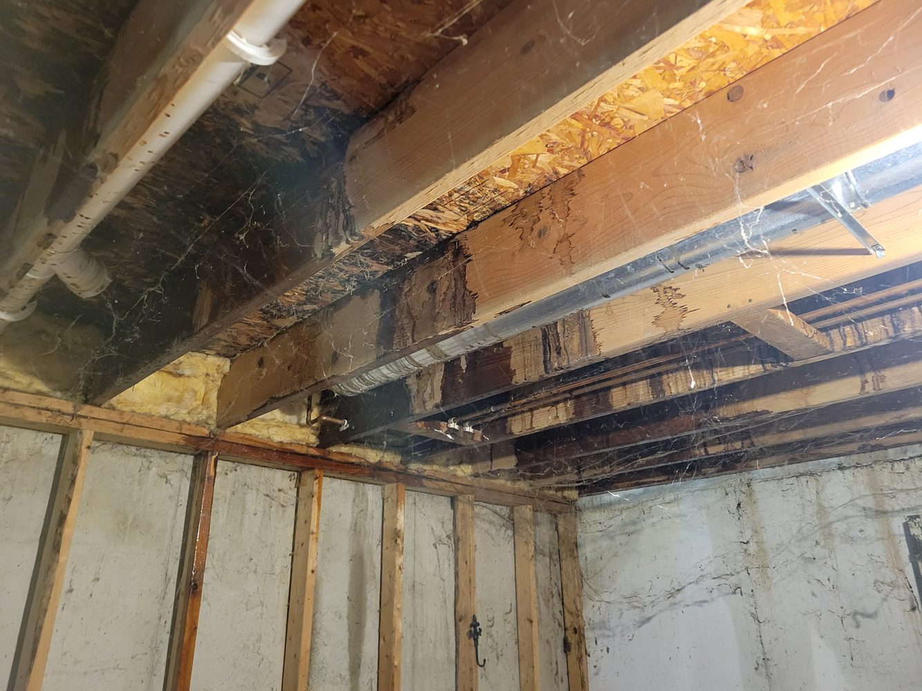 Visible water damage in basement joists during a Lansing house sale evaluation